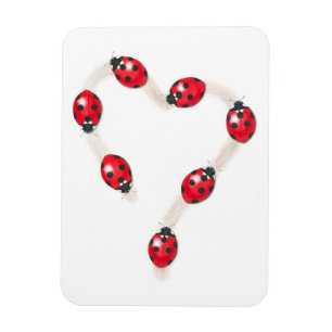 Íman Magneta Flexi do Coração Ladybug