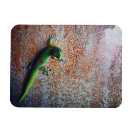 Íman Magneta Flexi Gecko Verde