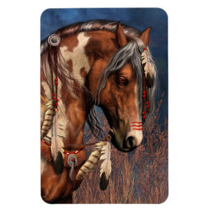 Íman Magneta Flexi Premium de Pôy Guerra