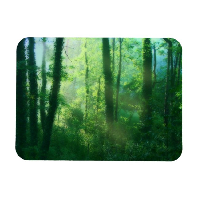 Íman Magneta flexível de fertilidade (Horizontal)