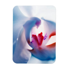 Íman Magneta flexível de fotos com Design de orquídea c
