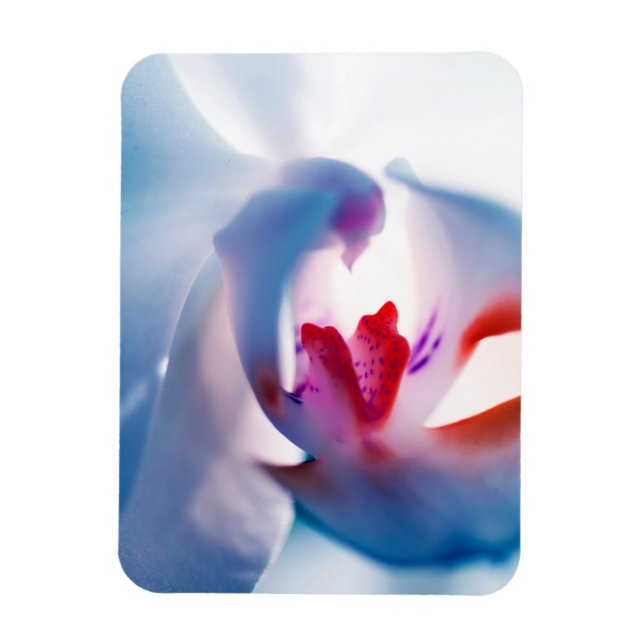Íman Magneta flexível de fotos com Design de orquídea c (Vertical)