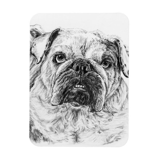 Íman Magneta flexível DIVA Lilybug (Vertical)