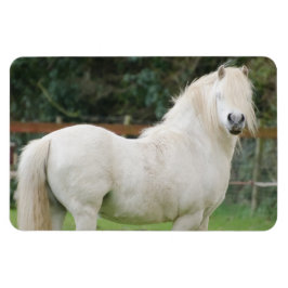 Íman Magneta flexível do cavalo de Cob galês