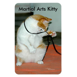 Íman Magneta flexível do Gatinho de artes marciais
