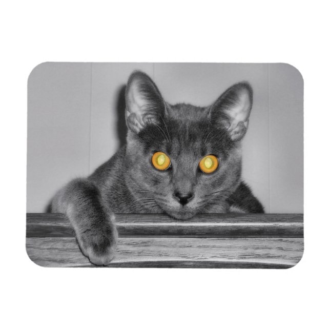 Íman Magneta flexível Dourada usky (Horizontal)