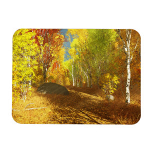 Íman Magneta flexível e fraca