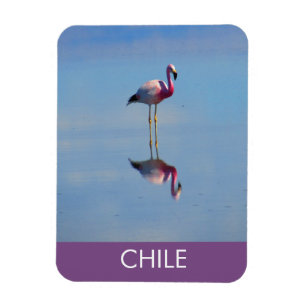 Íman Magneta flexível Flamingo
