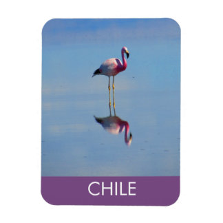 Íman Magneta flexível Flamingo