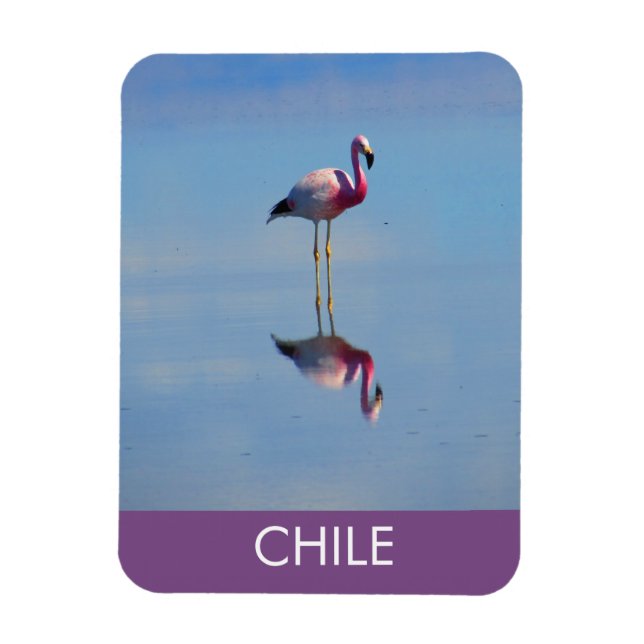Íman Magneta flexível Flamingo (Vertical)