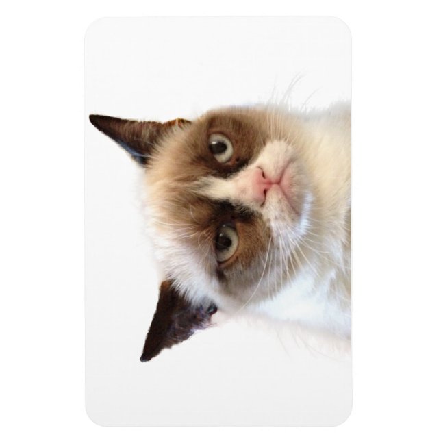 Íman Magneta flexível para gatos rabugentos (Vertical)