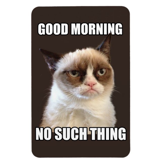 Íman Magneta flexível para gatos rabugentos (Vertical)