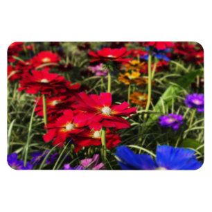 Íman Magneta flexível Primavera iridescente