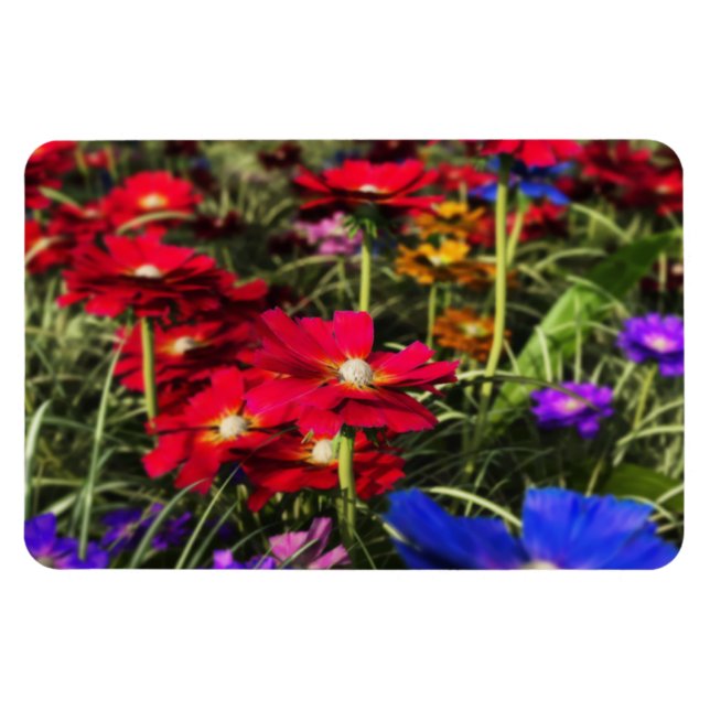 Íman Magneta flexível Primavera iridescente (Horizontal)