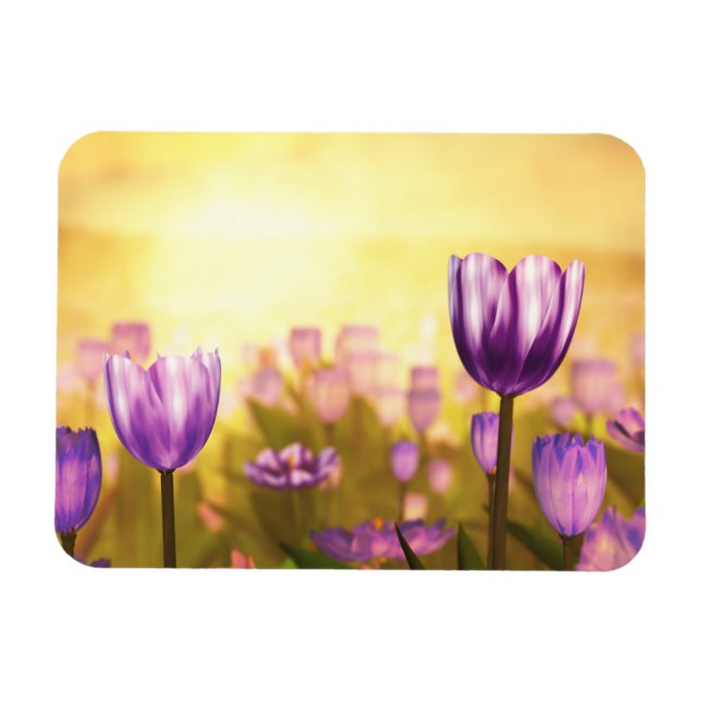 Íman Magneta flexível supla (Horizontal)