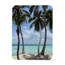 Magneta flexível tropical