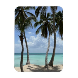 Íman Magneta flexível tropical