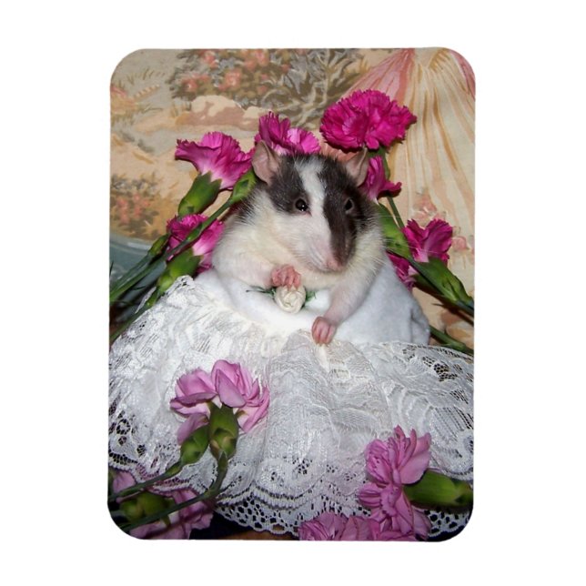 Íman Magneta flexível Trudy de Noiva Pet Rat (Vertical)