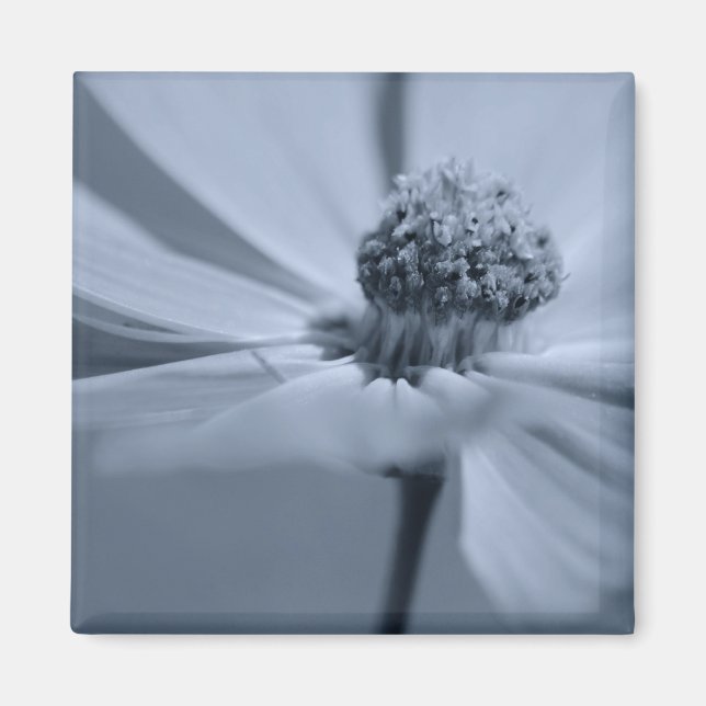 Íman Magneta Floral (Frente)