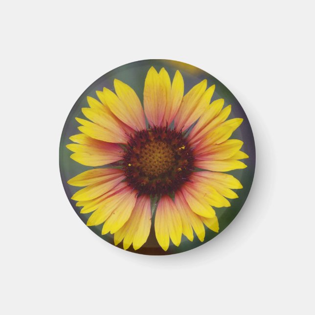 Íman Magneta Floral de Margarida Amarela (Frente)