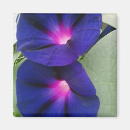 Íman Magneta Floral para Fridge