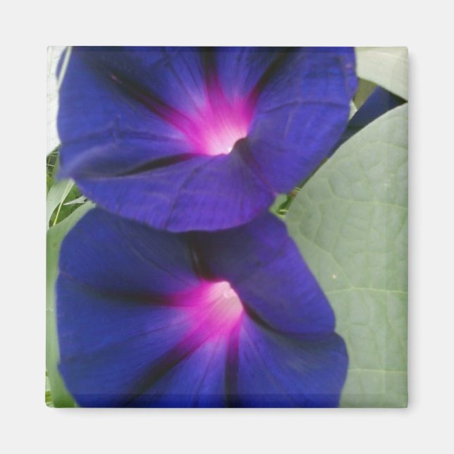 Íman Magneta Floral para Fridge (Frente)