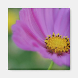 Íman Magneta Floral Rosa