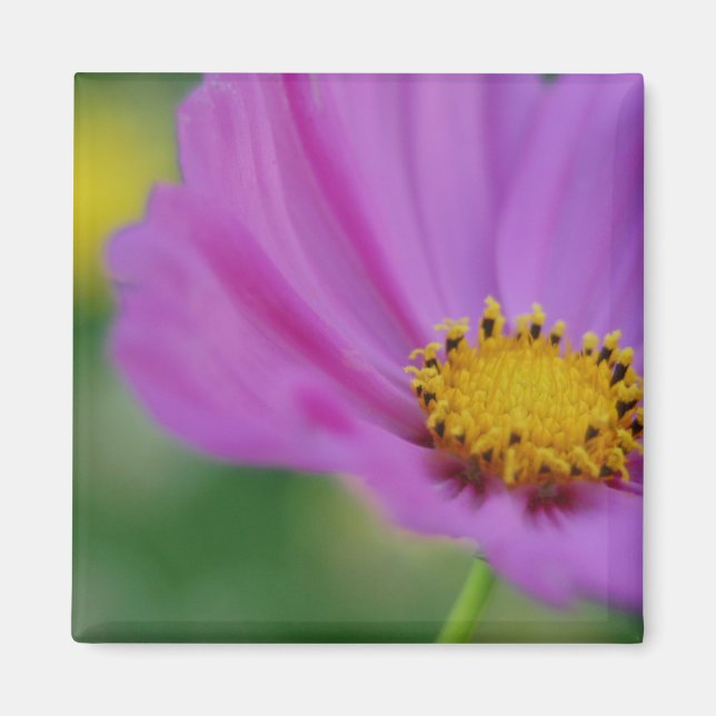 Íman Magneta Floral Rosa (Frente)