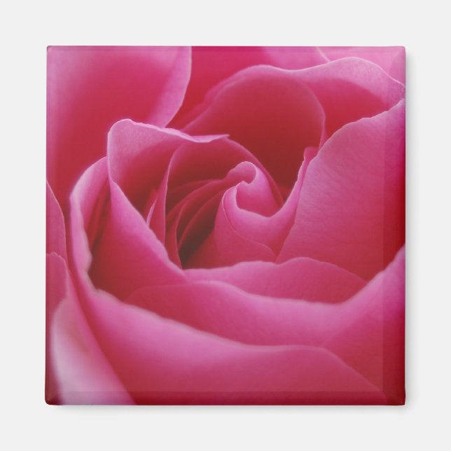 Íman Magneta Floral Rosa (Frente)