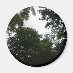 Íman Magneta Florestal Assustadora