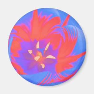 Íman Magneta fluorescente