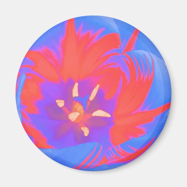 Íman Magneta fluorescente (Frente)