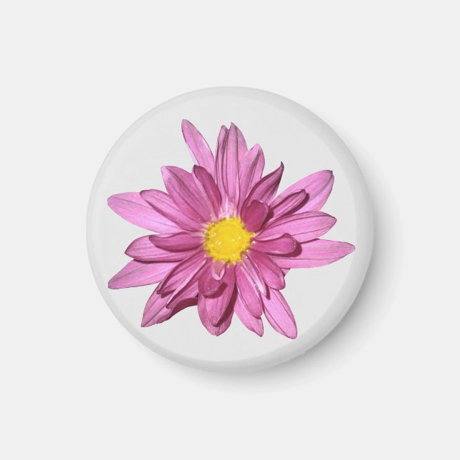 Íman Magneta Gerbera Púrpura Luz (Frente)
