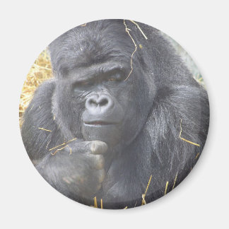 Íman Magneta Gorilla Pensada