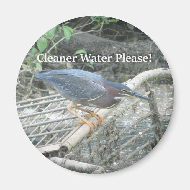 Íman Magneta Green Heron Ecology (Frente)