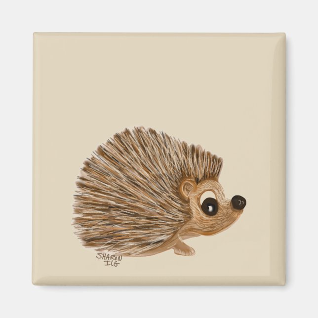 Íman Magneta Hedgehog, presente para aquele amante de o (Frente)