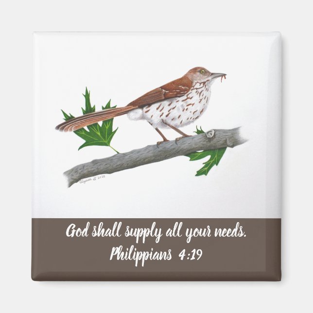 Íman Magneta Inspiracional Brown Thrasher (Frente)