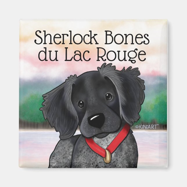 Íman Magneta KiniArt Black Roan da Bretanha (Frente)