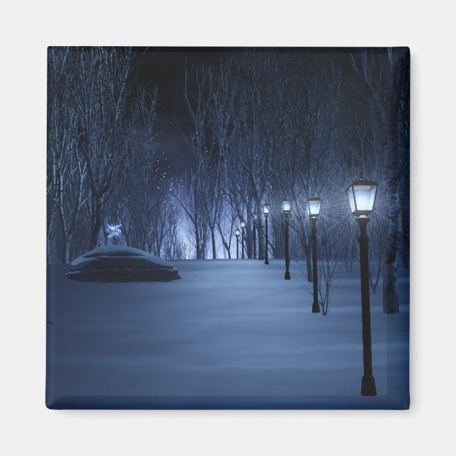 Íman Magneta leve de Fool (Frente)