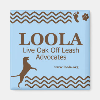 Íman Magneta metálica LOOLAorg quadrada