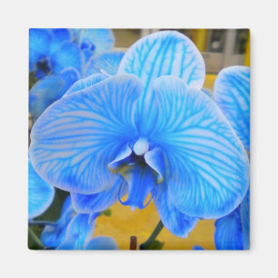 Íman Magneta Mística Azul
