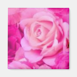 Íman Magneta multipropósito