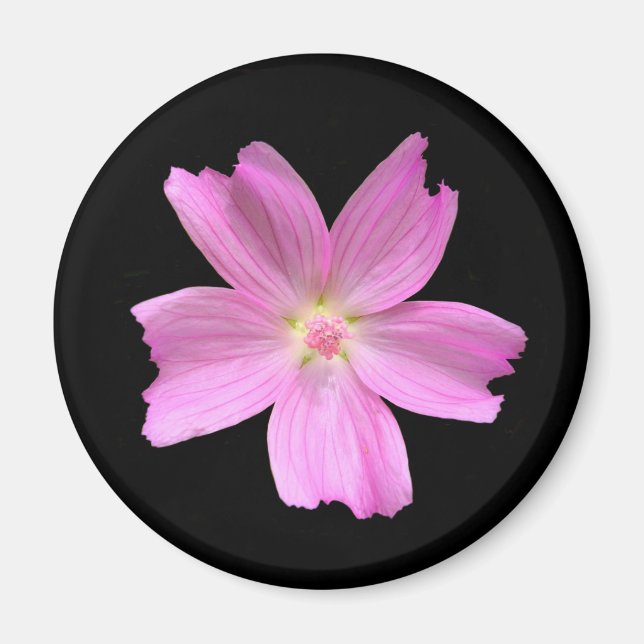 Íman Magneta Musk-Mallow (Frente)