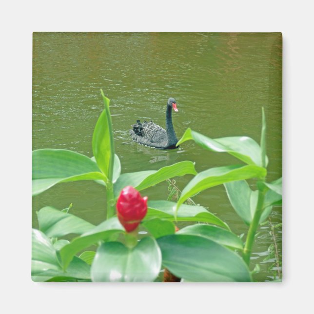 Íman Magneta Negra (Frente)