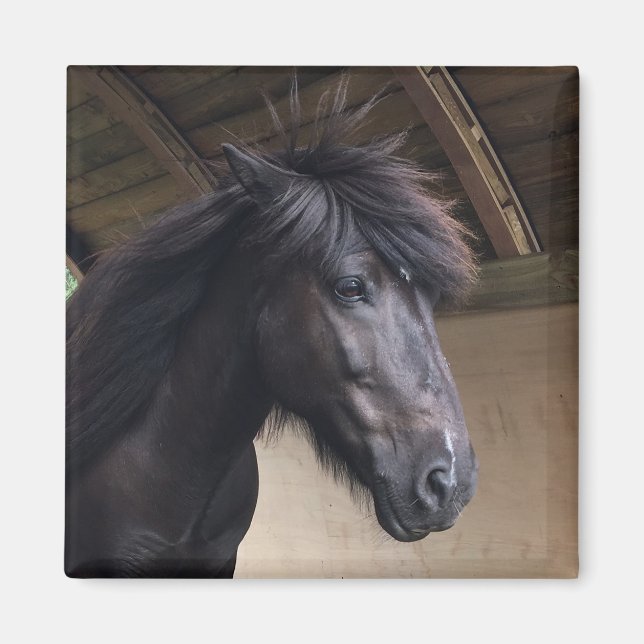 Íman Magneta Nobre de Cavalo Viking (Frente)