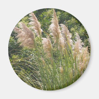 Íman Magneta Pampas