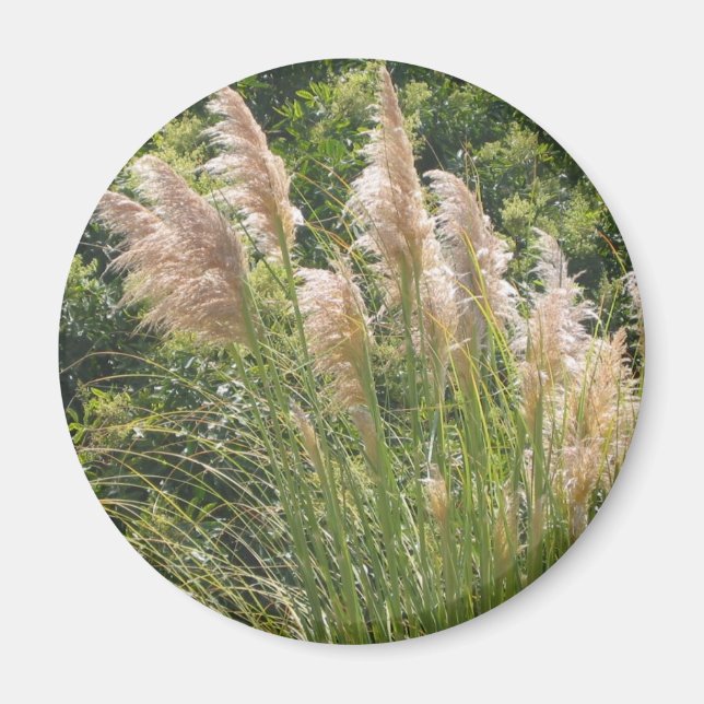 Íman Magneta Pampas (Frente)