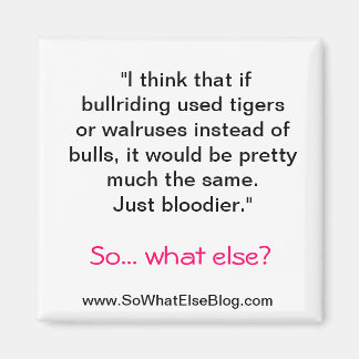 Íman Magneta para Bullitar