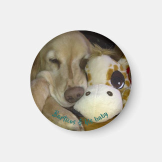 Íman Magneta pequena, redonda Barticus e Girafa