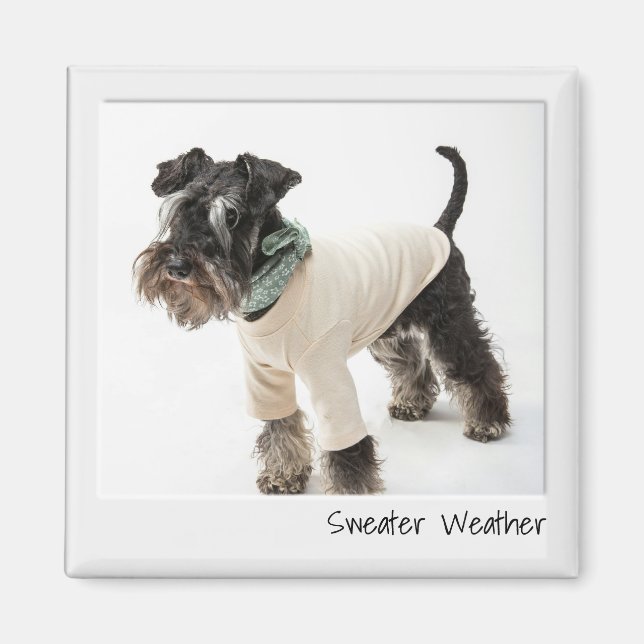 Íman Magneta Personalizada Da Câmera Instantânea Do Cli (Frente)